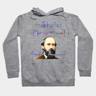 Bernhard Riemann Zeta function Hoodie